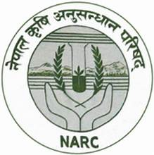 Dr. Tulasi Prasad Paudel